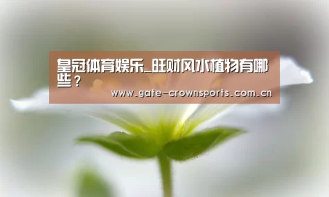 皇冠体育娱乐_旺财风水植物有哪些？