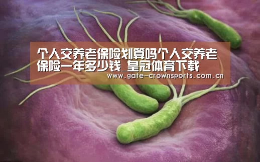 个人交养老保险划算吗个人交养老保险一年多少钱_皇冠体育下载(图3) 皇冠体育娱乐