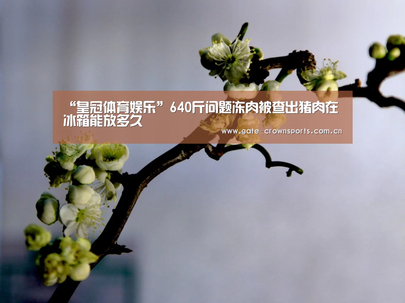 皇冠体育