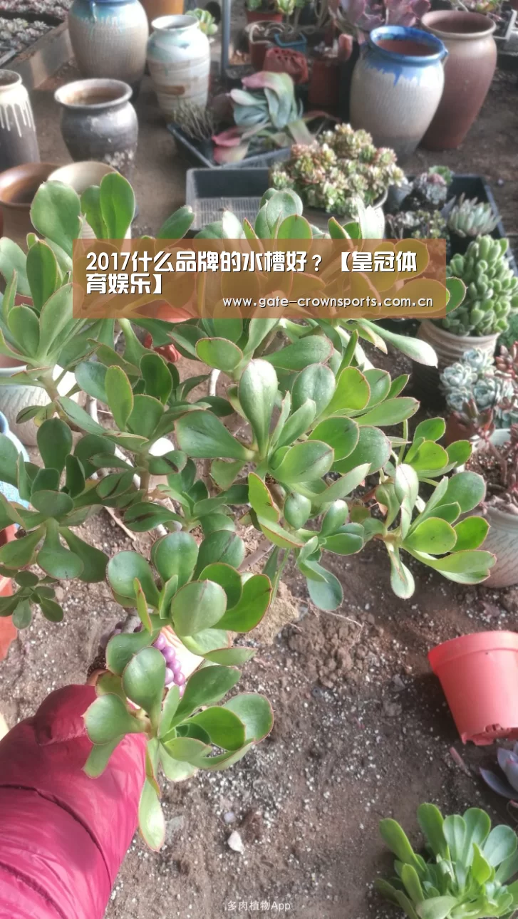 2017什么品牌的水槽好?【皇冠体育娱乐】(图2) 皇冠体育官网