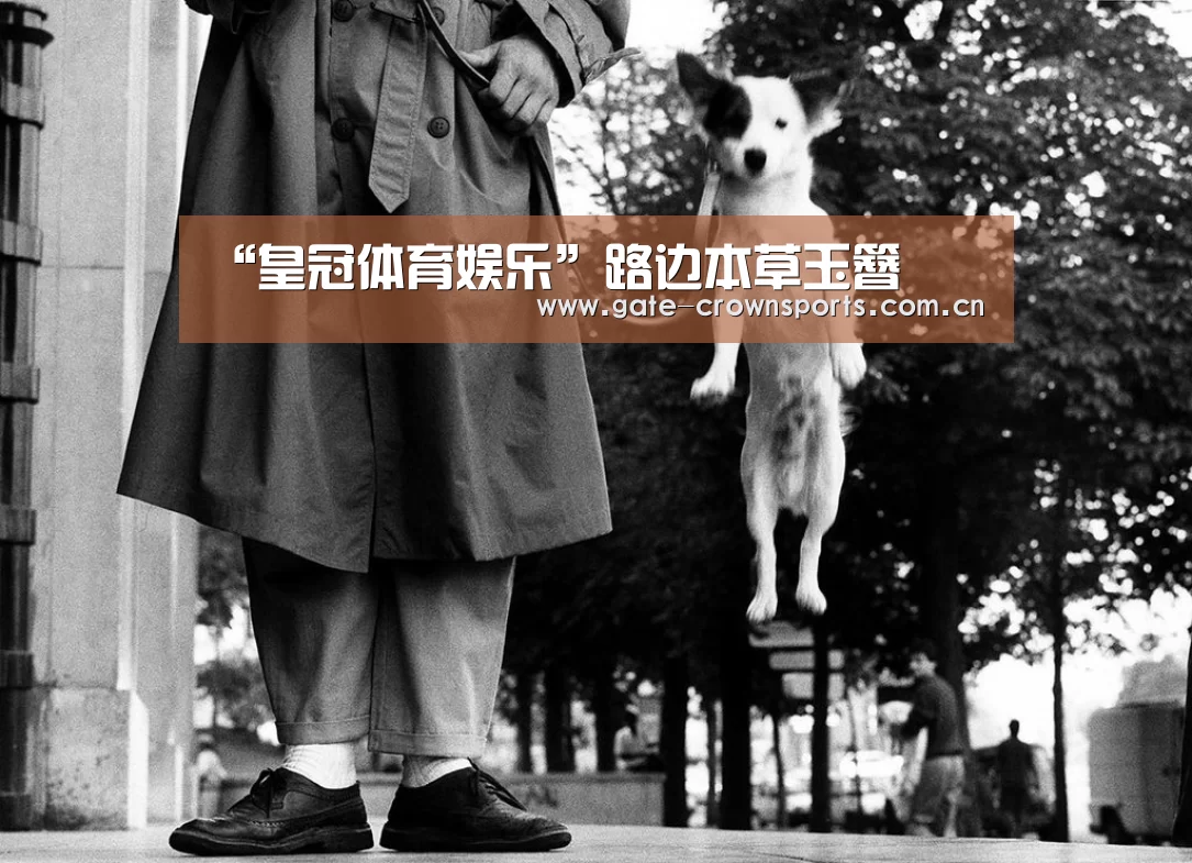 皇冠体育下载